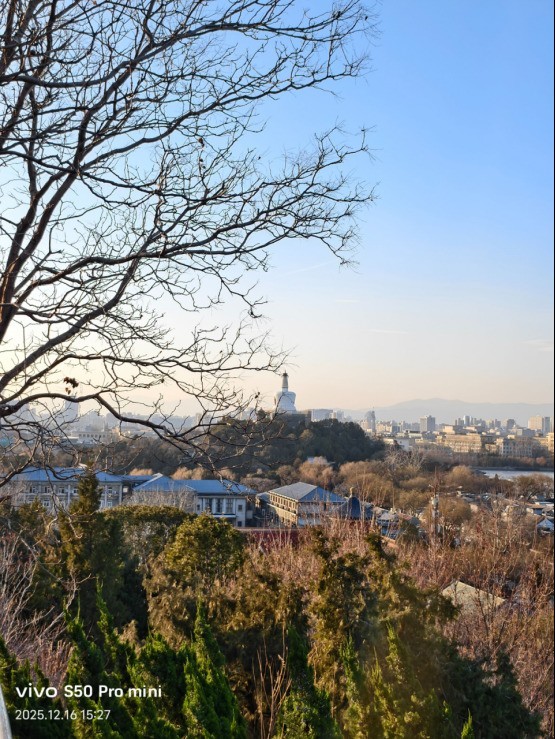 vivo S50 Pro mini全面评测 小屏旗舰大满配